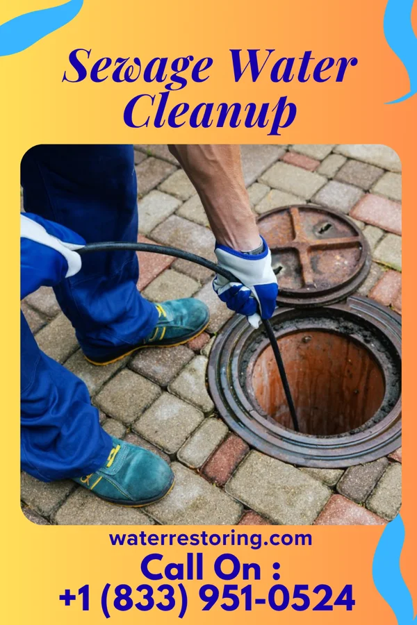 Sewage Water Cleanup in Elsinore, UT